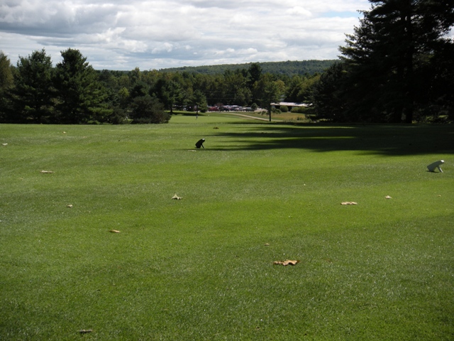 Arrowhead Hole 18 Tee