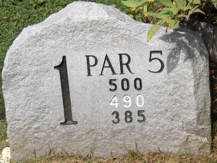 Arrowhead Hole 1 Stone