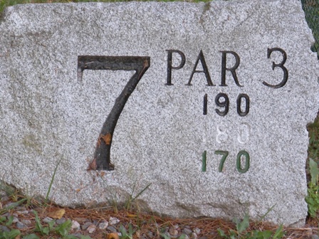 Arrowhead Hole 7 Stone