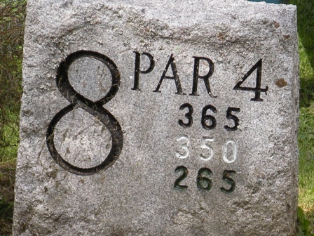 Arrowhead Hole 8 Stone