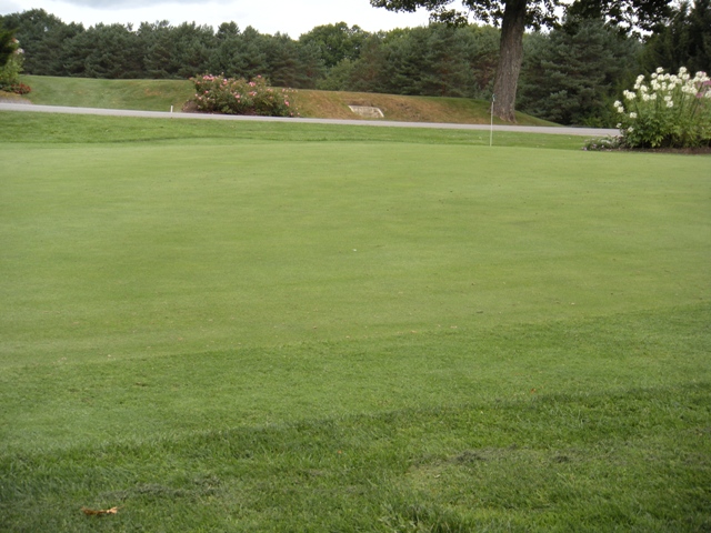 Practice Green