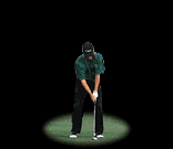 Golfer